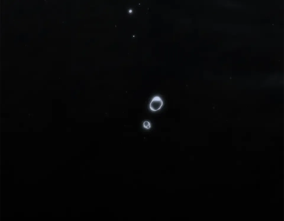 第133话 不用送行 第47页
