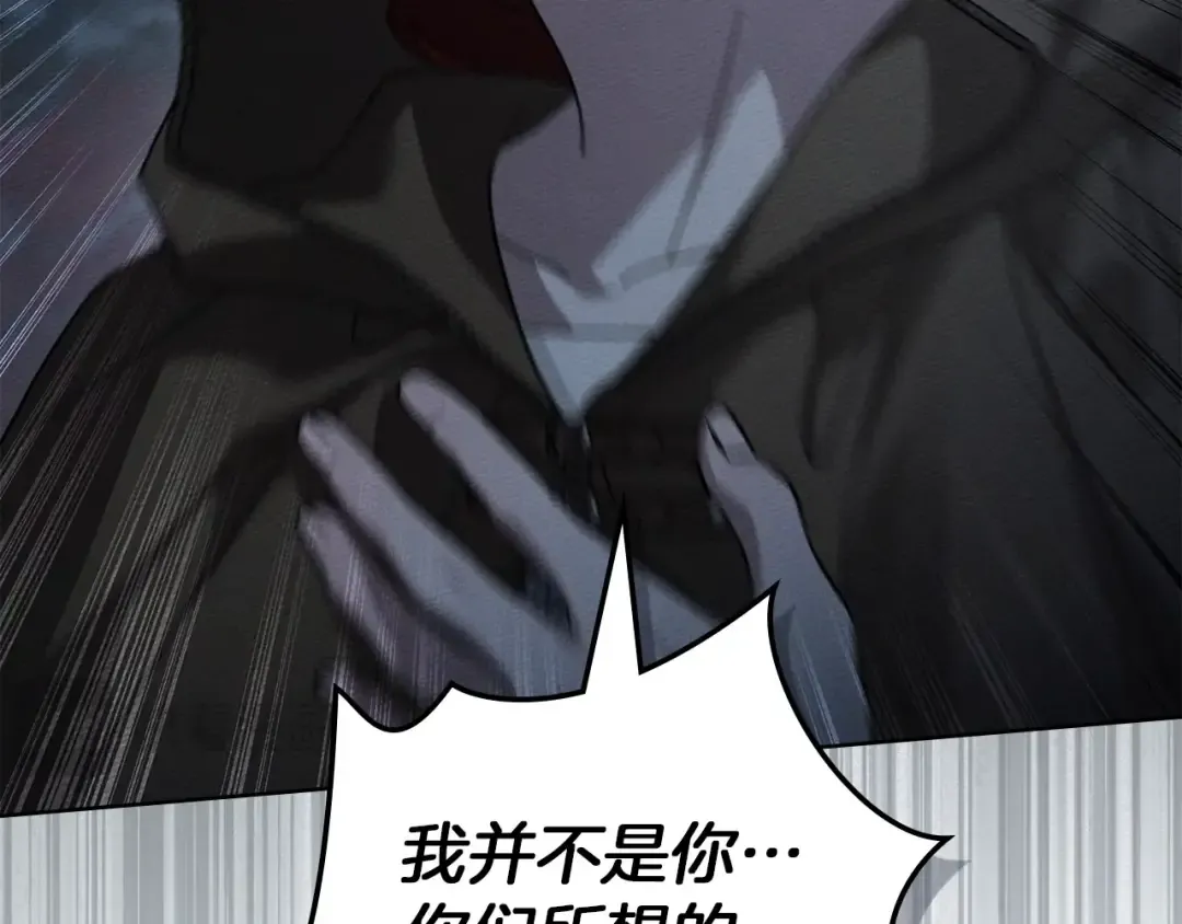 第135话 我没那么重要 第215页