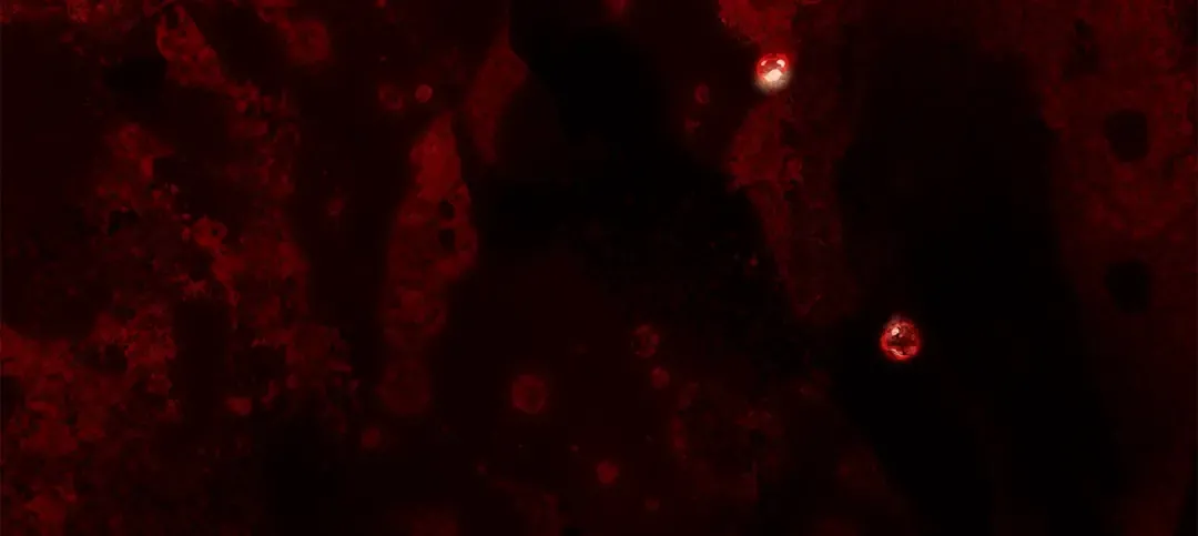 第136话 这样做对吗 第190页