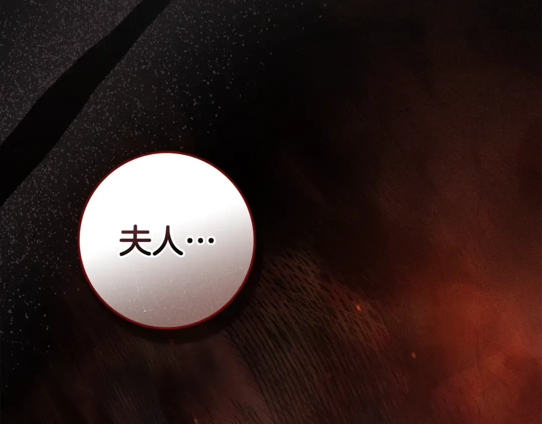 第138话 夫人重伤被救 第27页