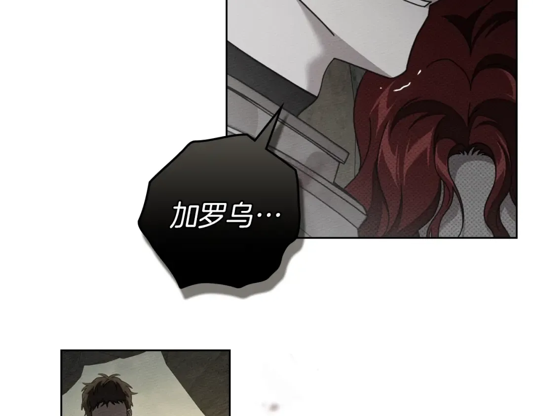 第138话 夫人重伤被救 第113页