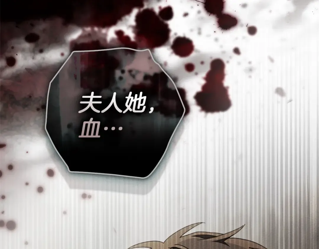 第138话 夫人重伤被救 第117页