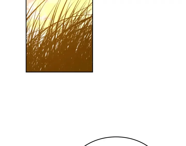 番外8 命运 第7页
