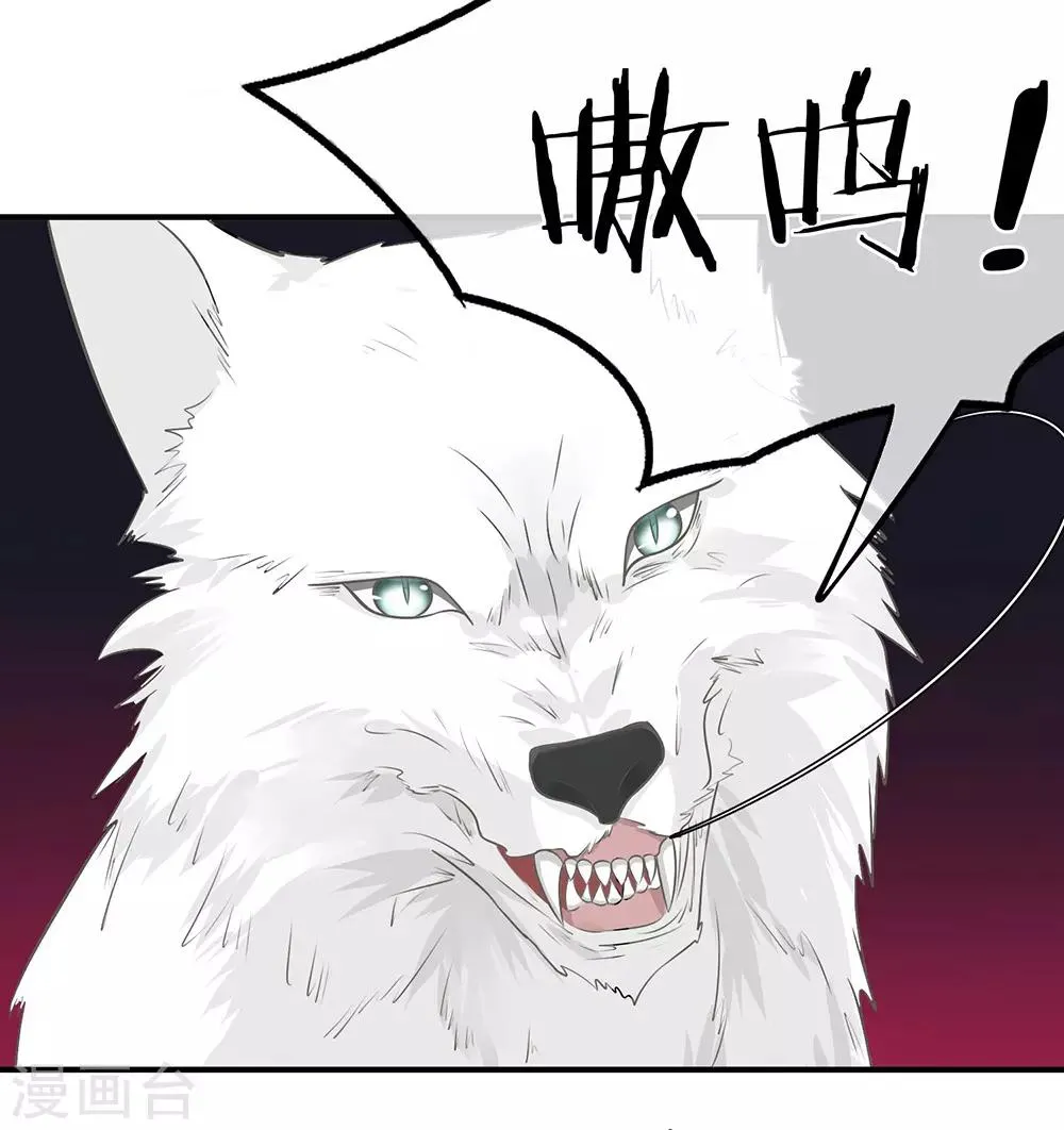 第5话 第13页