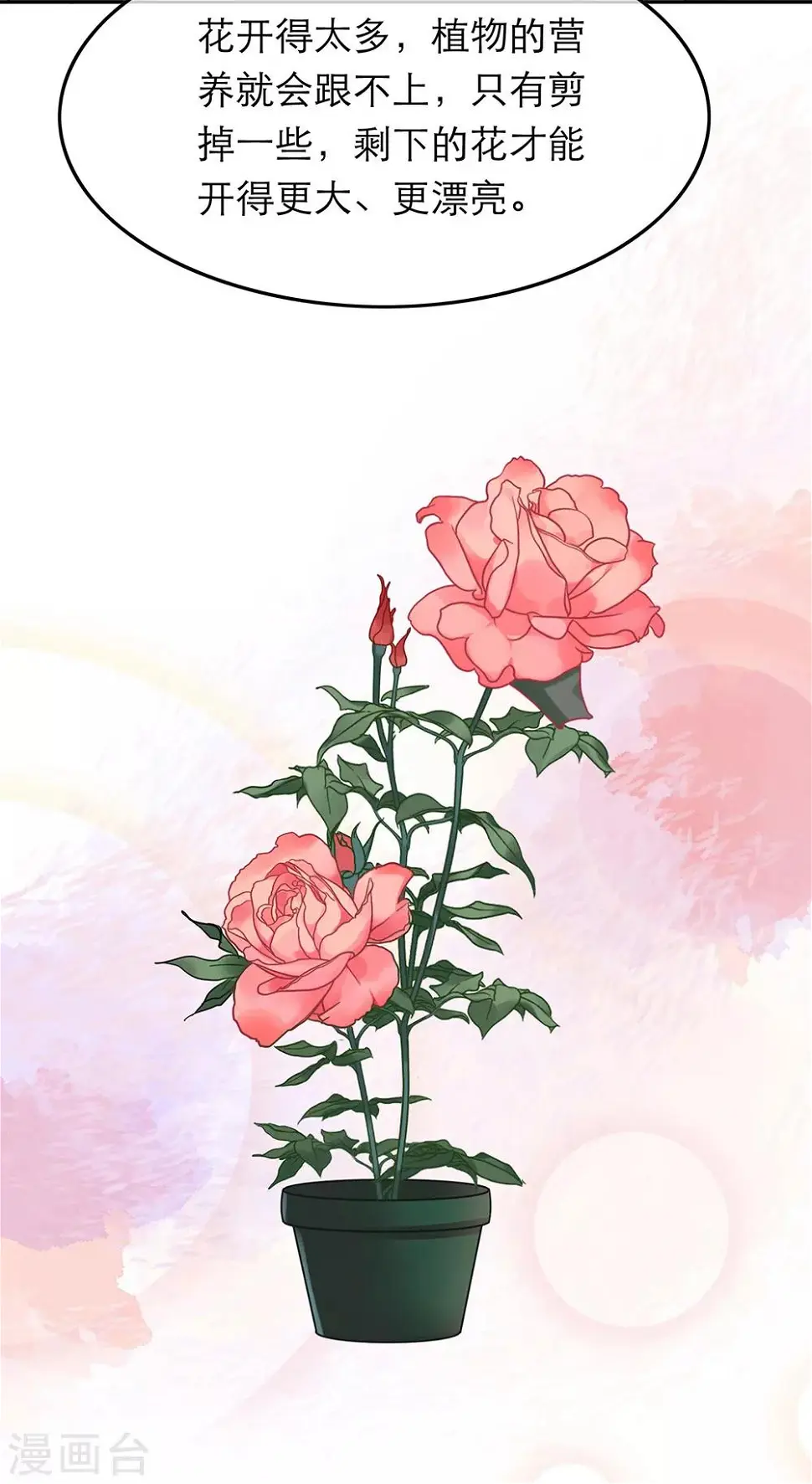 第47话 第5页