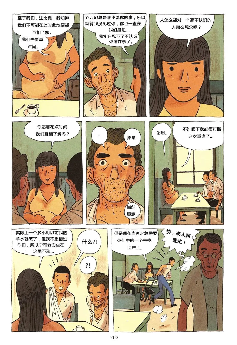 第1卷 第207页