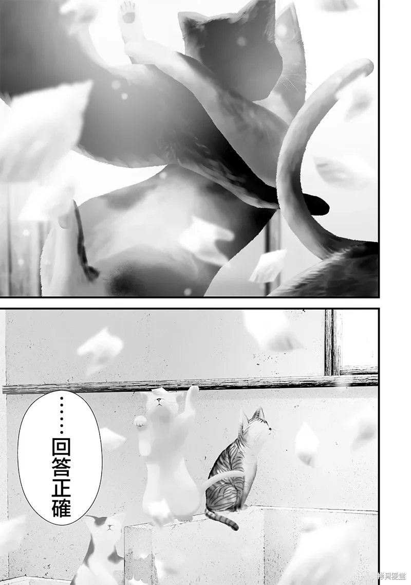 第54话 第13页