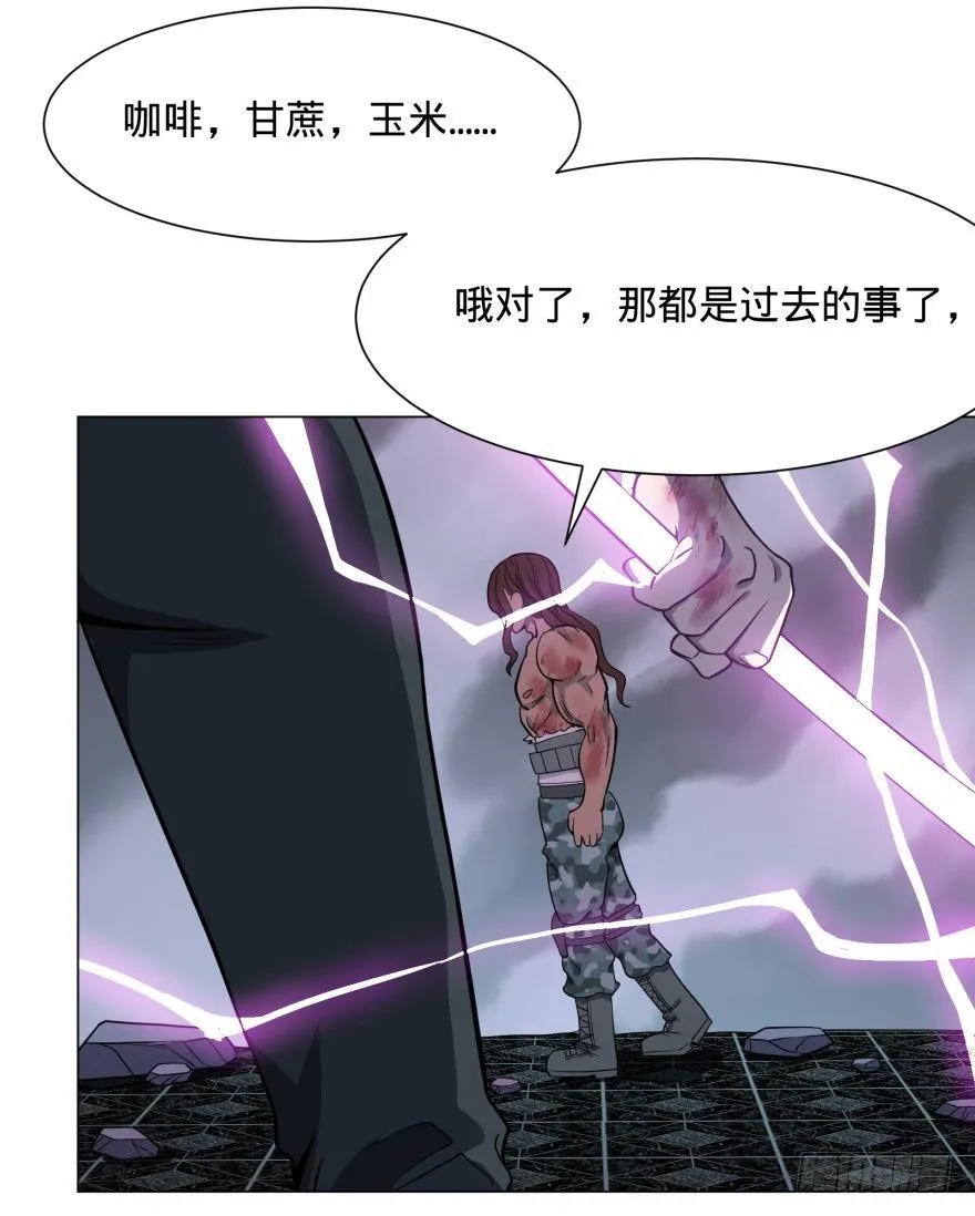 瓜岛特产 第25页