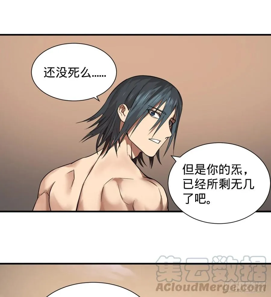 巴西柔术 第37页