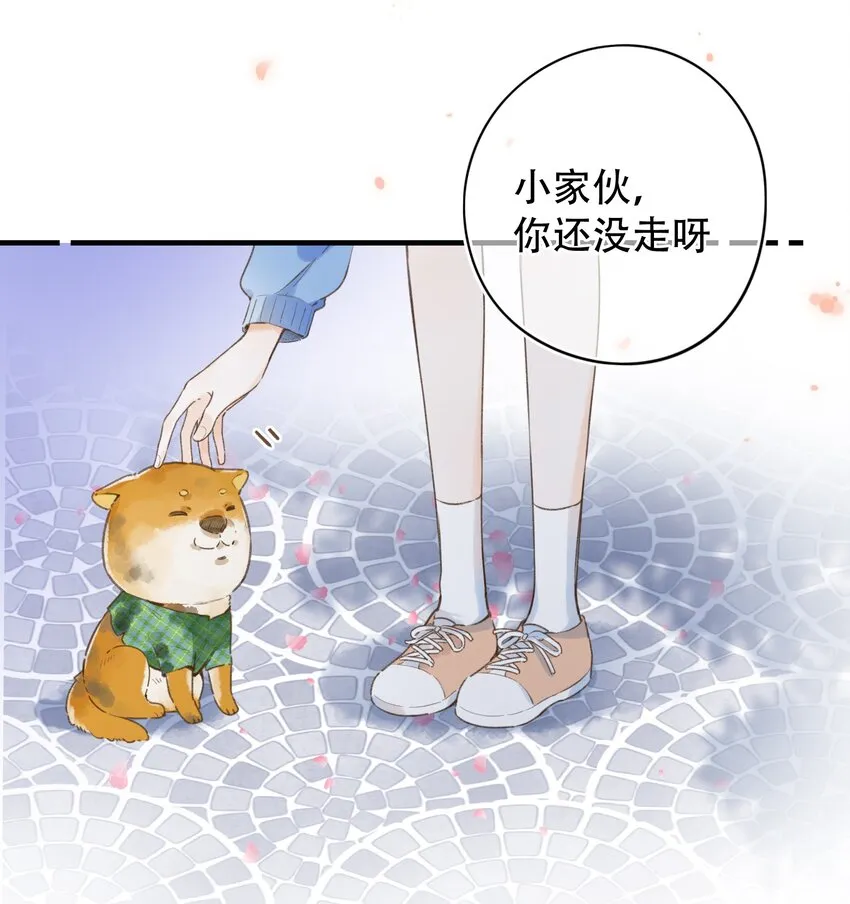 037 好不容易 第20页