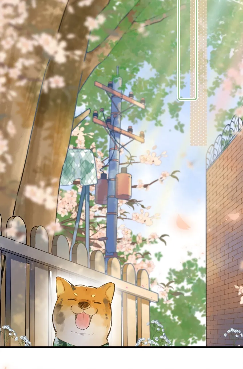 035 终于…… 第7页
