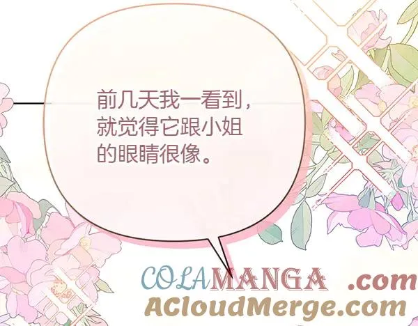 第9话 盛装出席 第53页