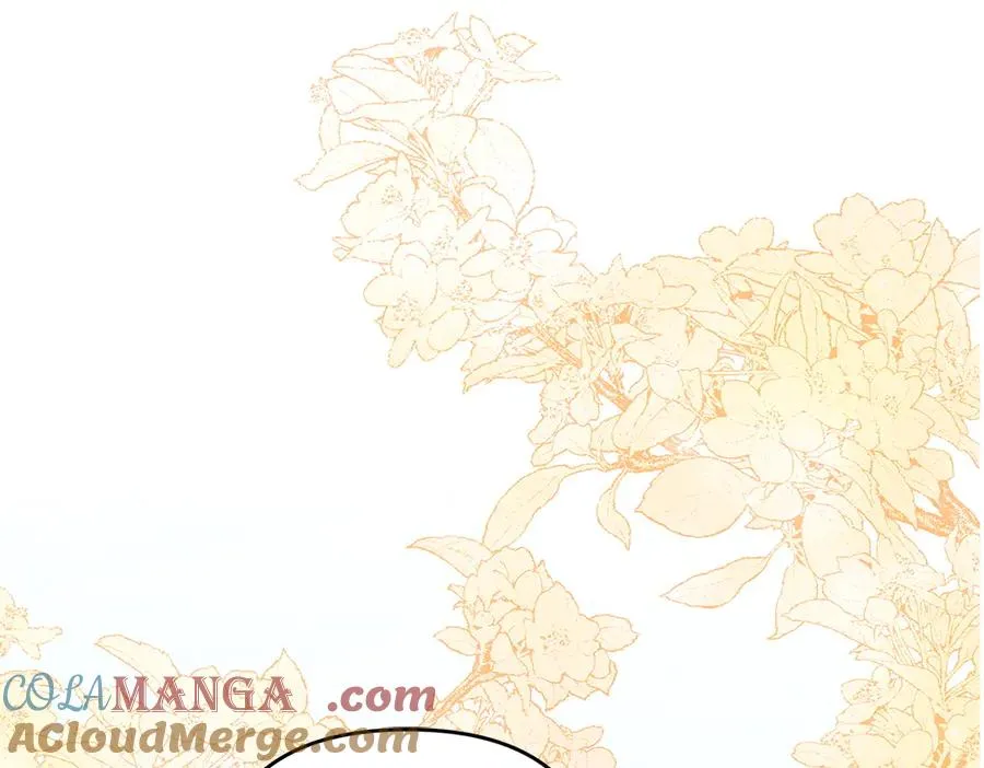 第38话 早年的误会 第241页