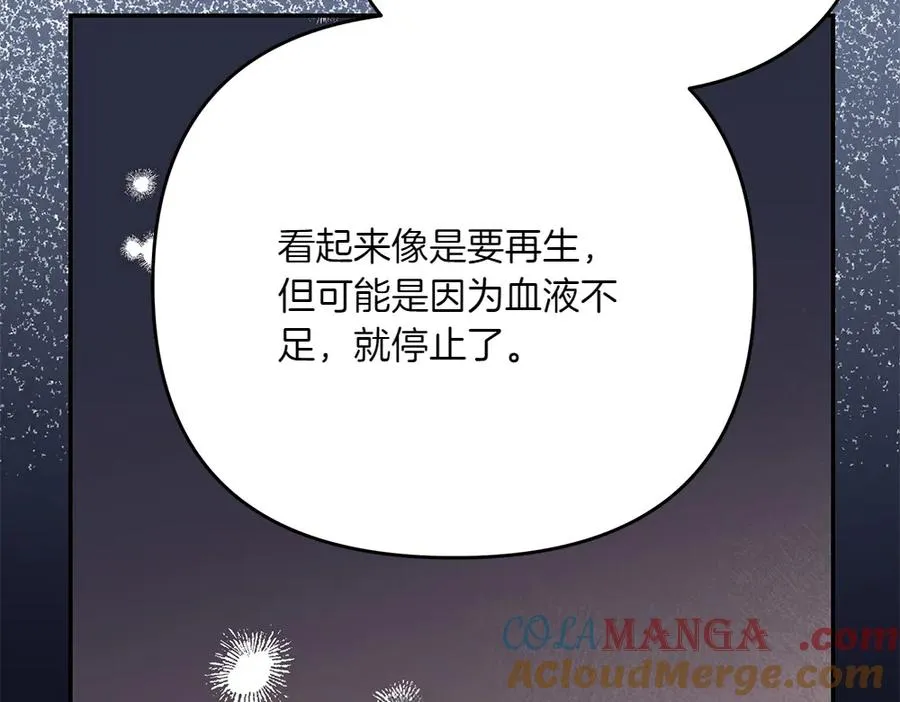 第26话 示好 第169页