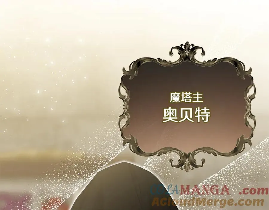 第40话 直面反派 第165页