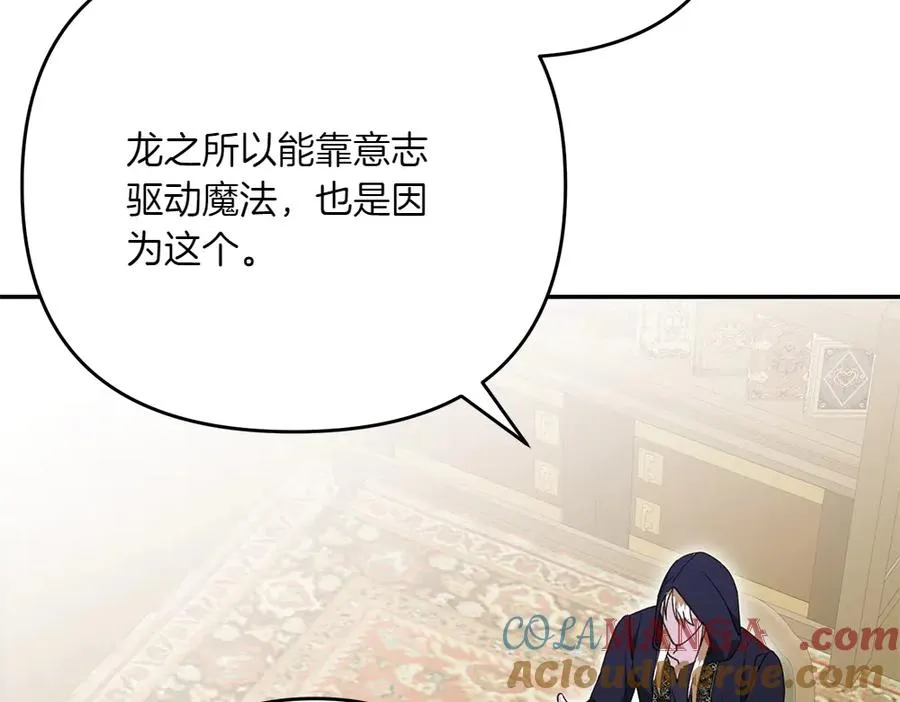 第40话 直面反派 第213页