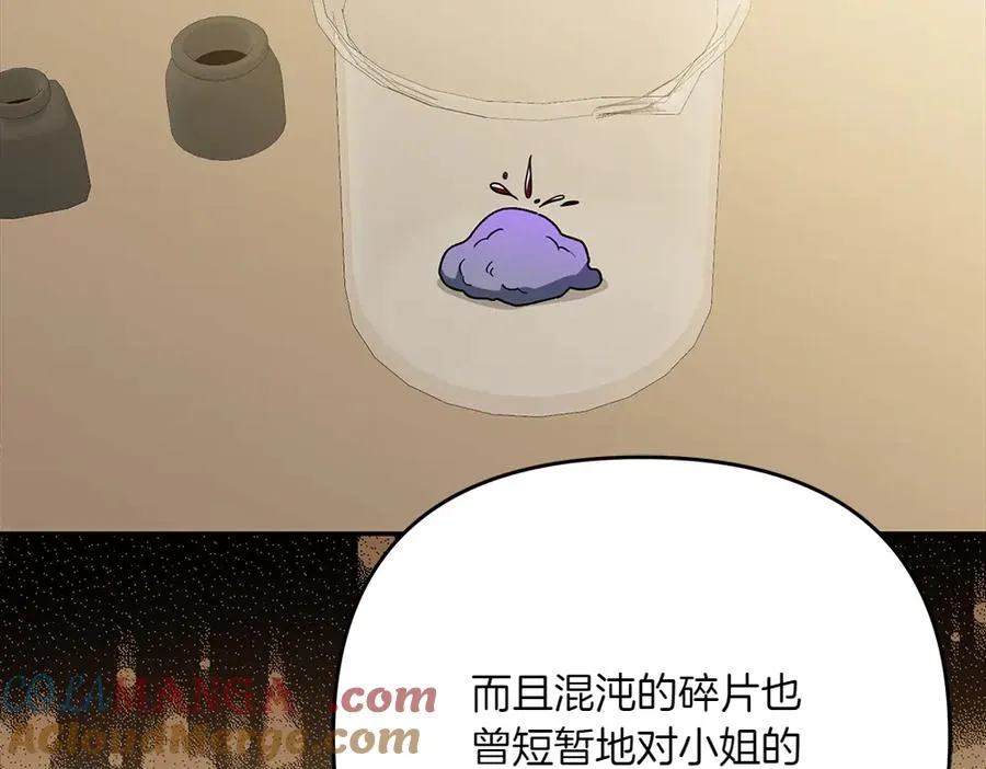 第44话 小小的希望 第17页