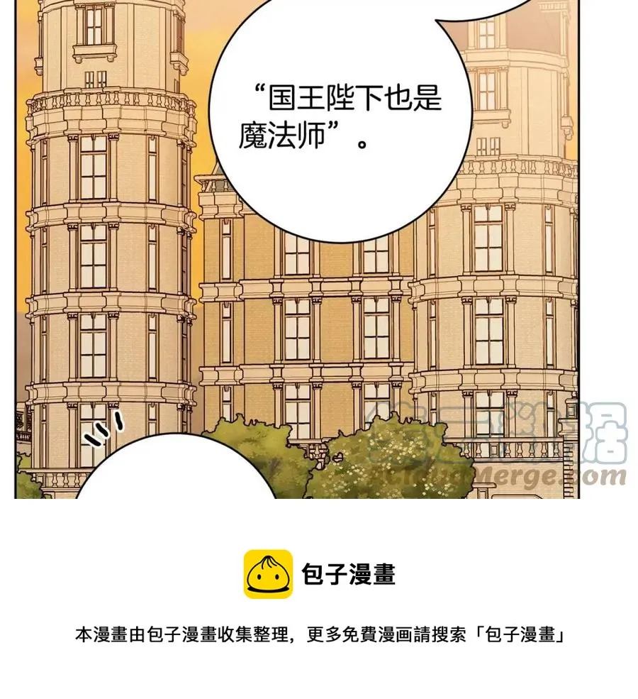 第77话 亲兄弟 第29页