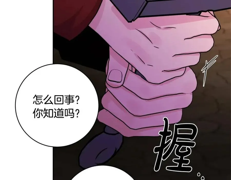 第74话 混乱的王宫 第115页