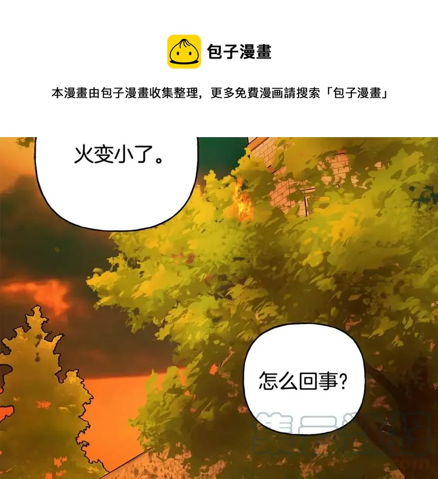 第73话 勇敢的洛洛 第165页