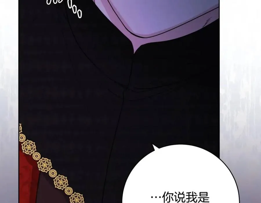 第66话 国王的疑惑 第99页