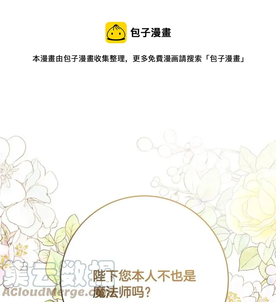 第66话 国王的疑惑 第117页