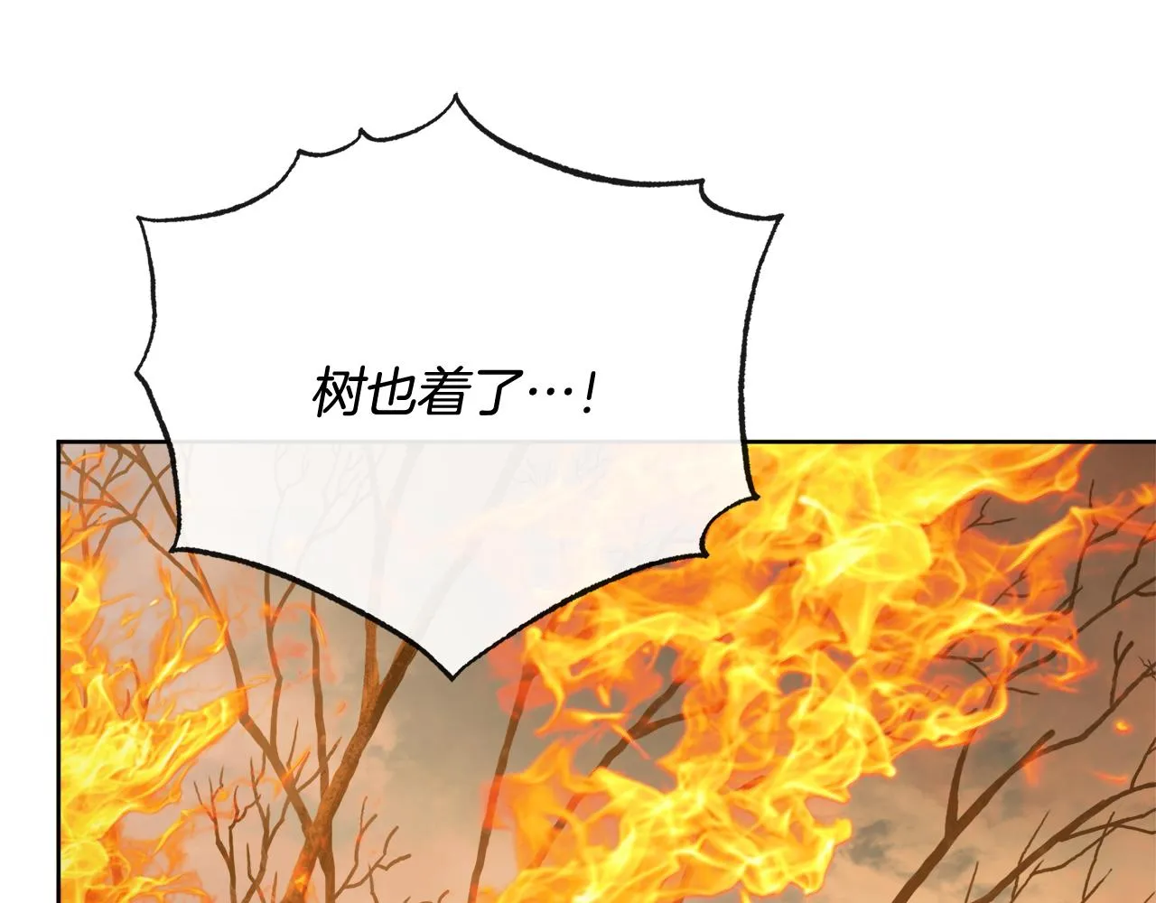 第53话 拯救洛洛 第68页