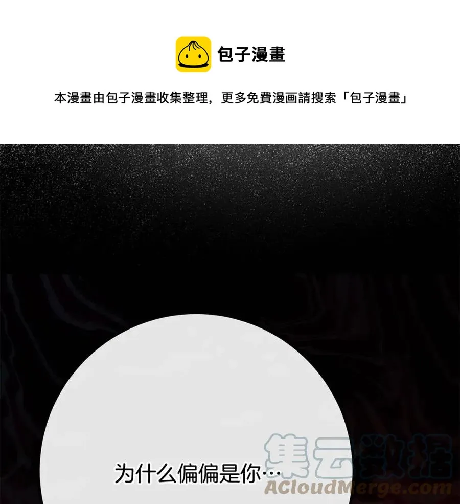 第62话 洛洛的推测 第13页