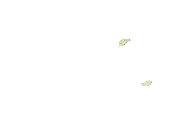 第43话 这便是我的魅力 第196页