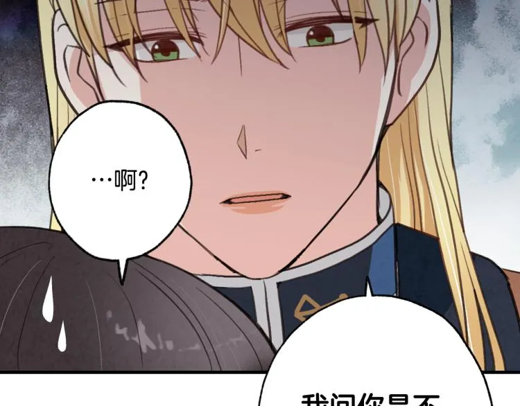 第63话 恰逢初雪 第153页