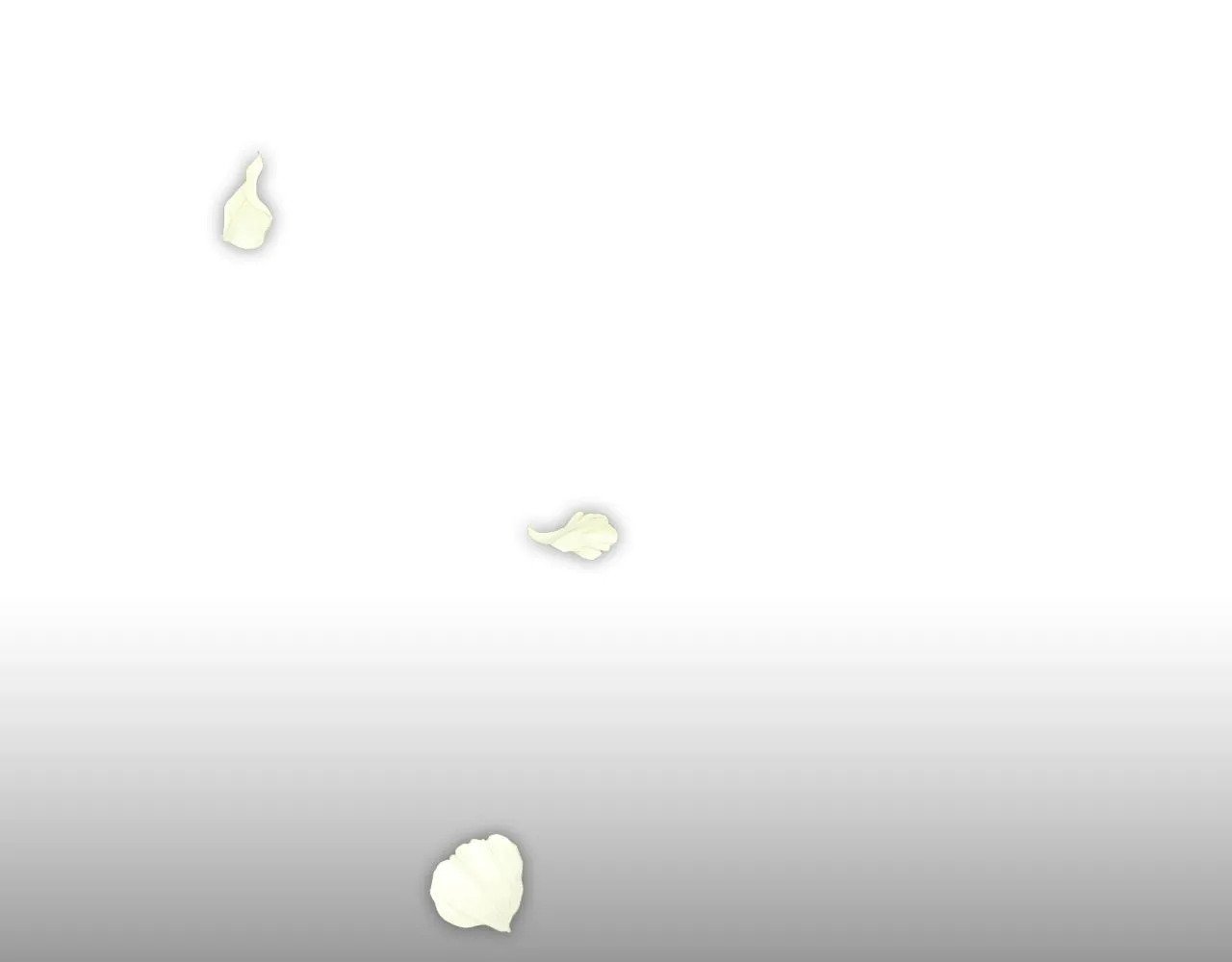 第67话去见女皇 第5页