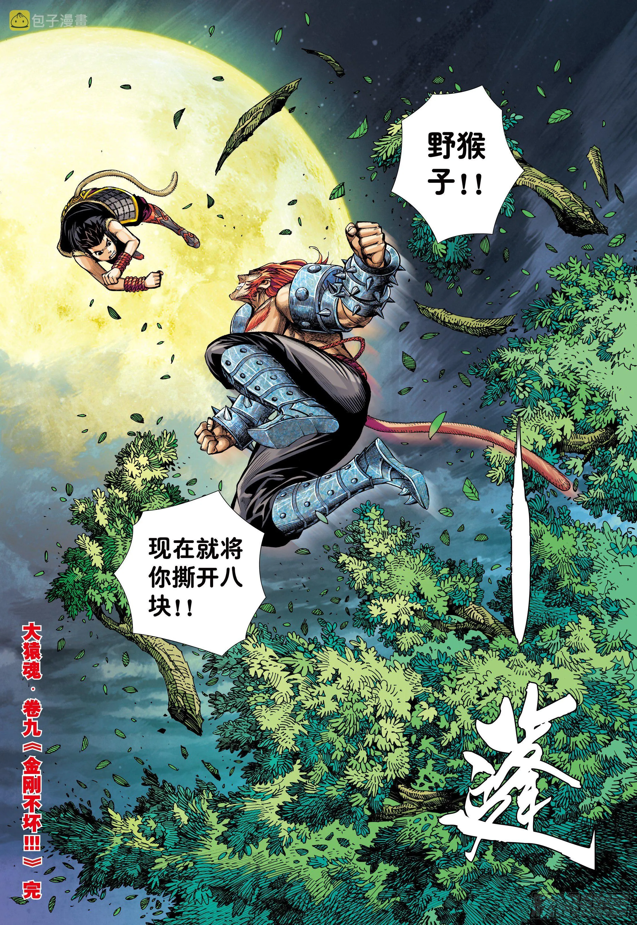09：金刚不坏!!! 第30页