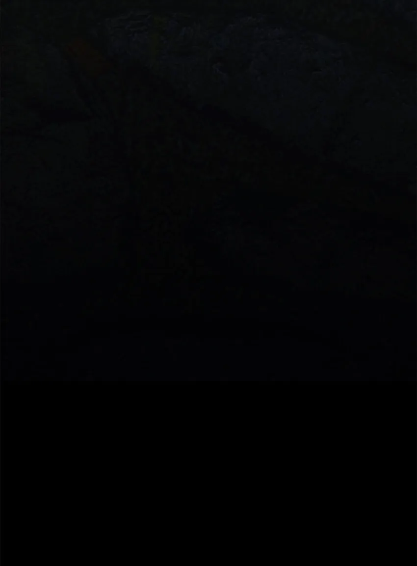 5 与公爵同往 第87页
