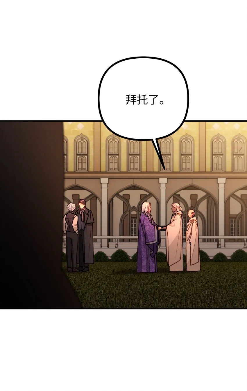 47 最后的尝试 第31页