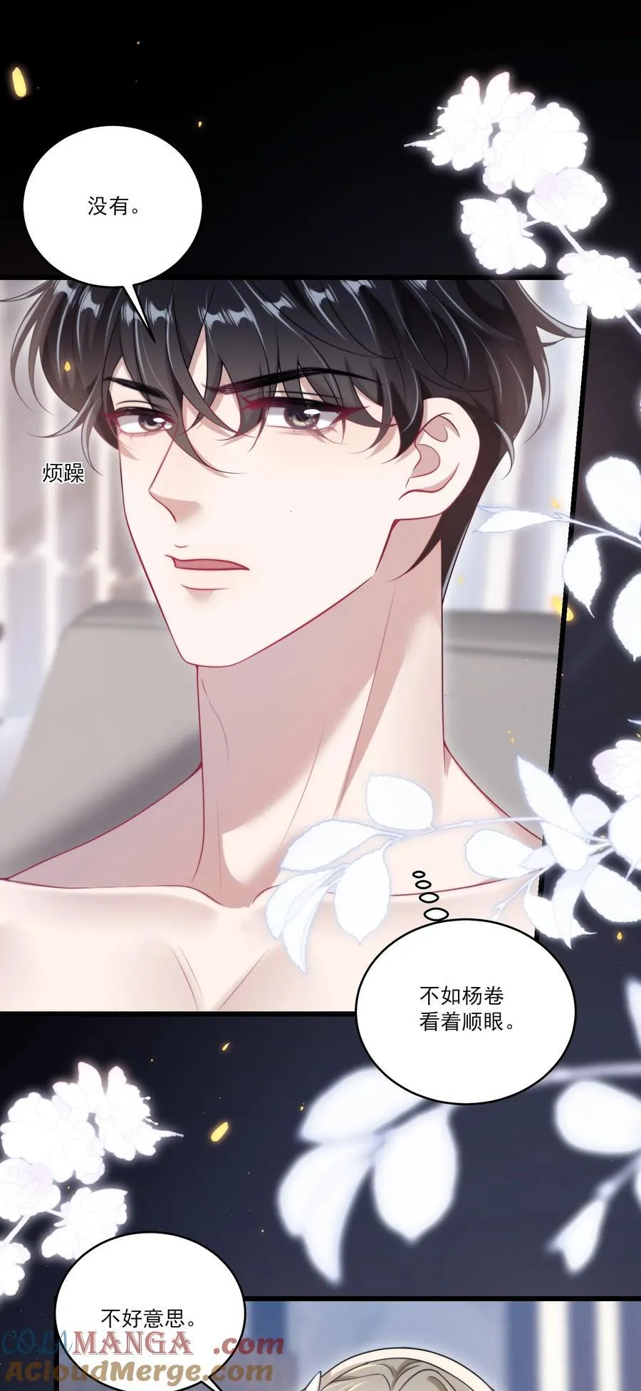 100 你喜欢贺朗吗？ 第19页
