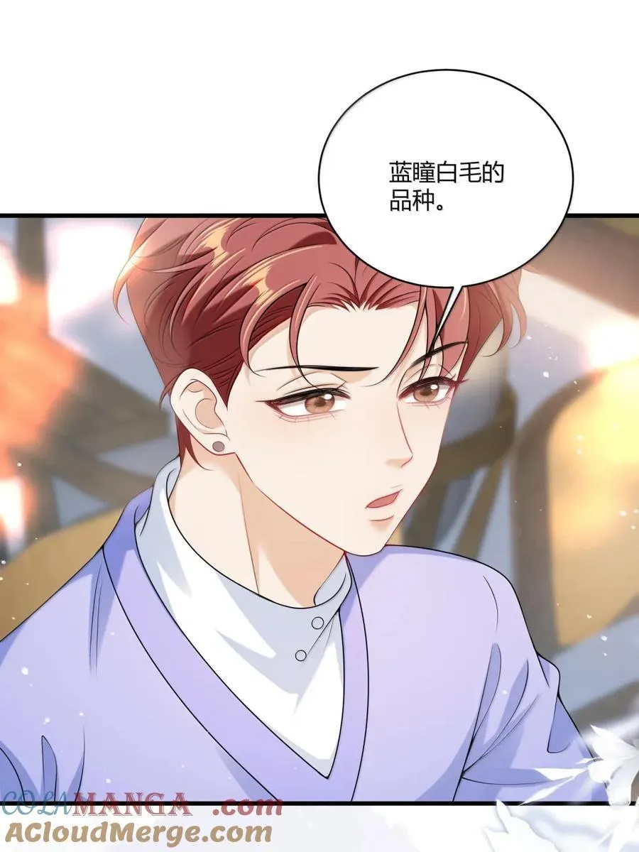 番外篇11 我喜欢大狗 第13页