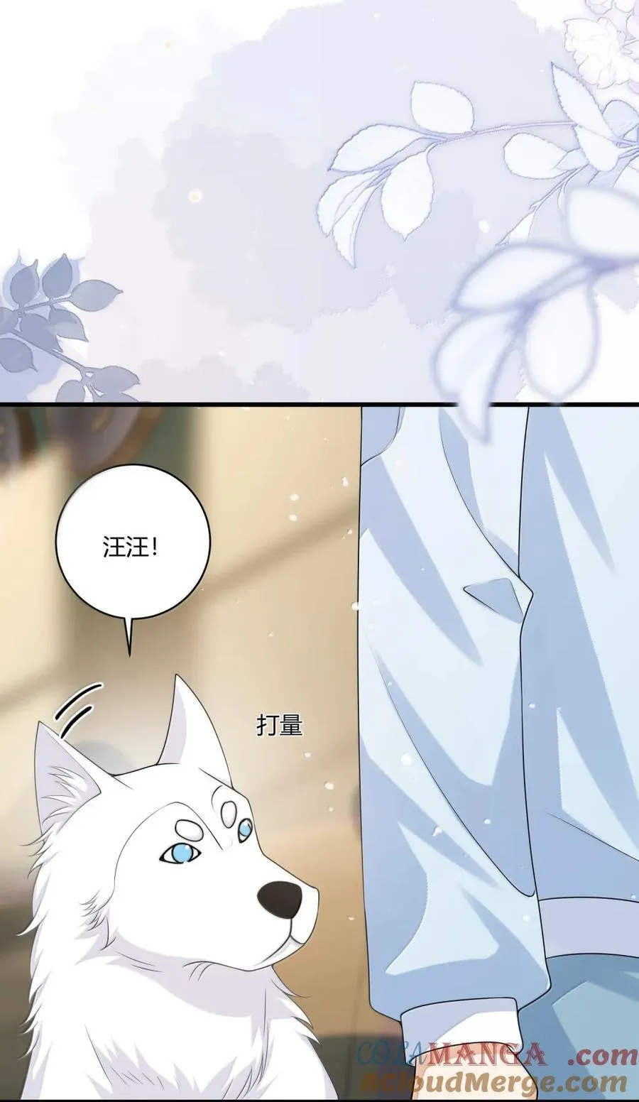 番外篇12 应该有戏 第31页