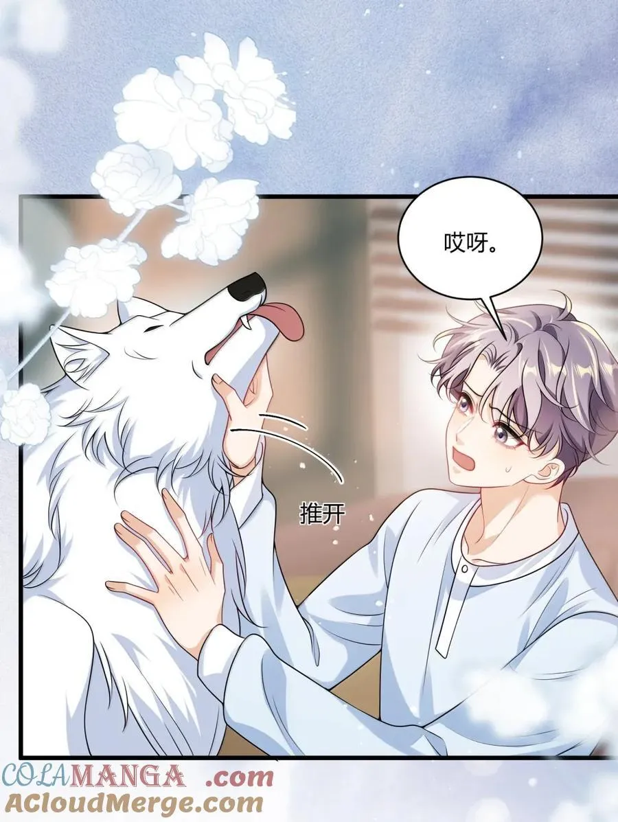 番外13 喜欢 第15页