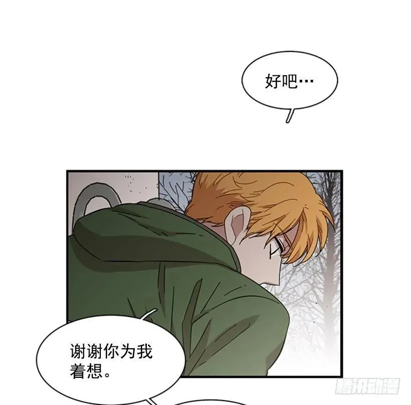 他不放弃他 第13页