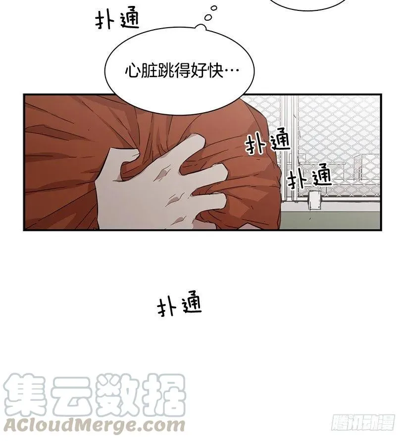 他掉入了陷阱 第31页