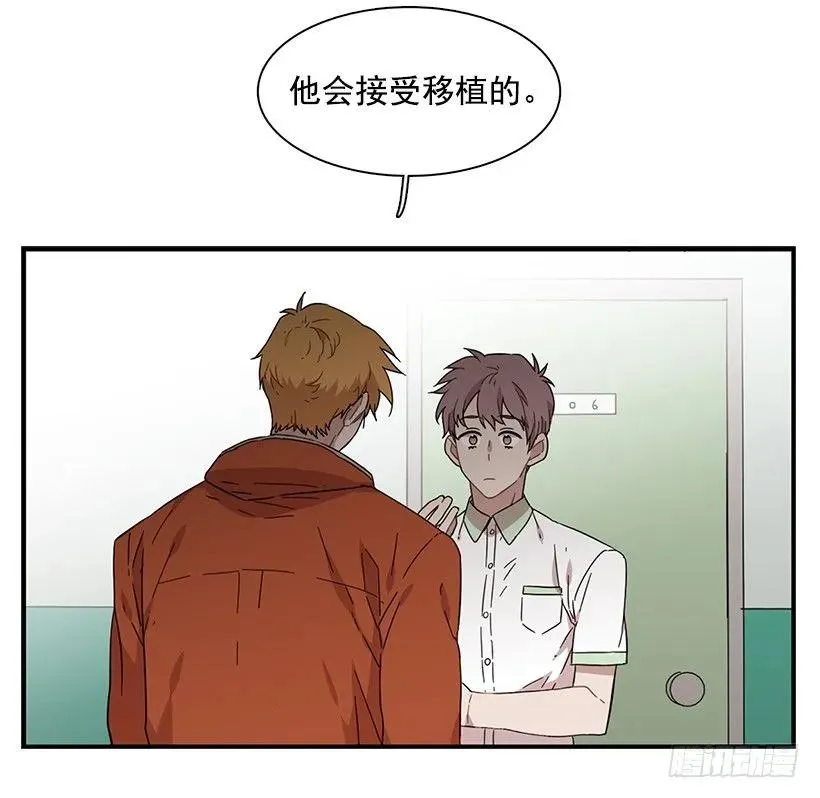 他只是 第8页