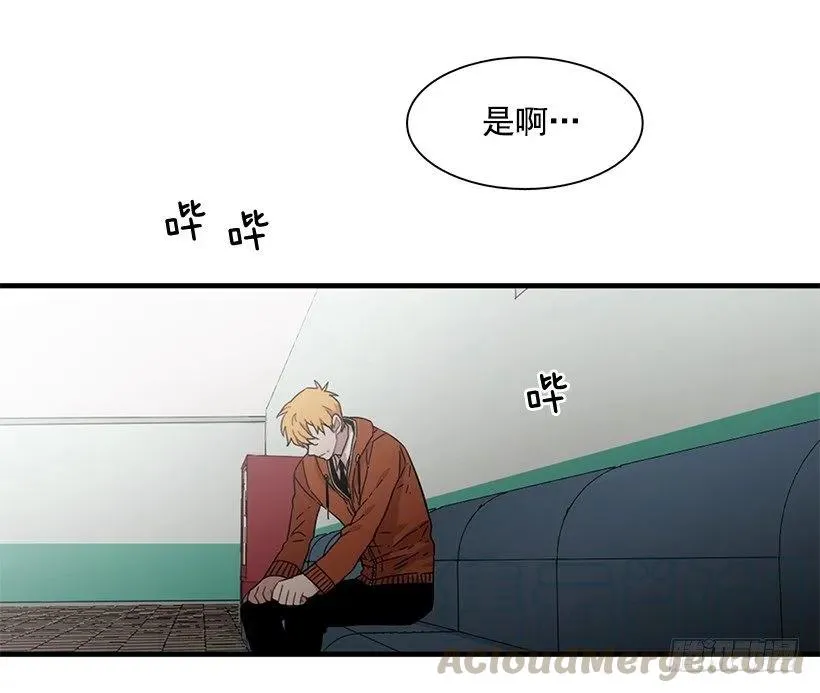 他只是 第11页