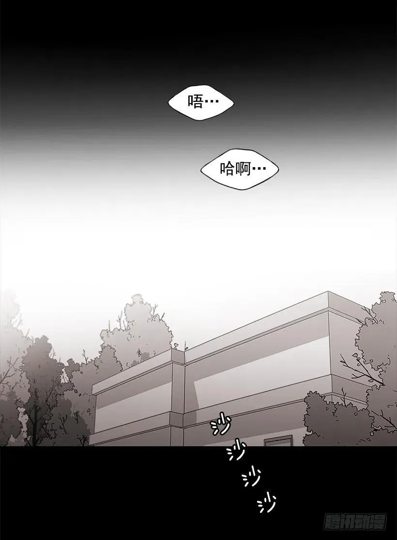 她终于看清了他 第13页