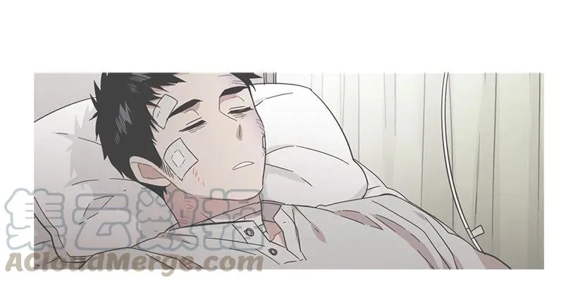 他投降了 第36页