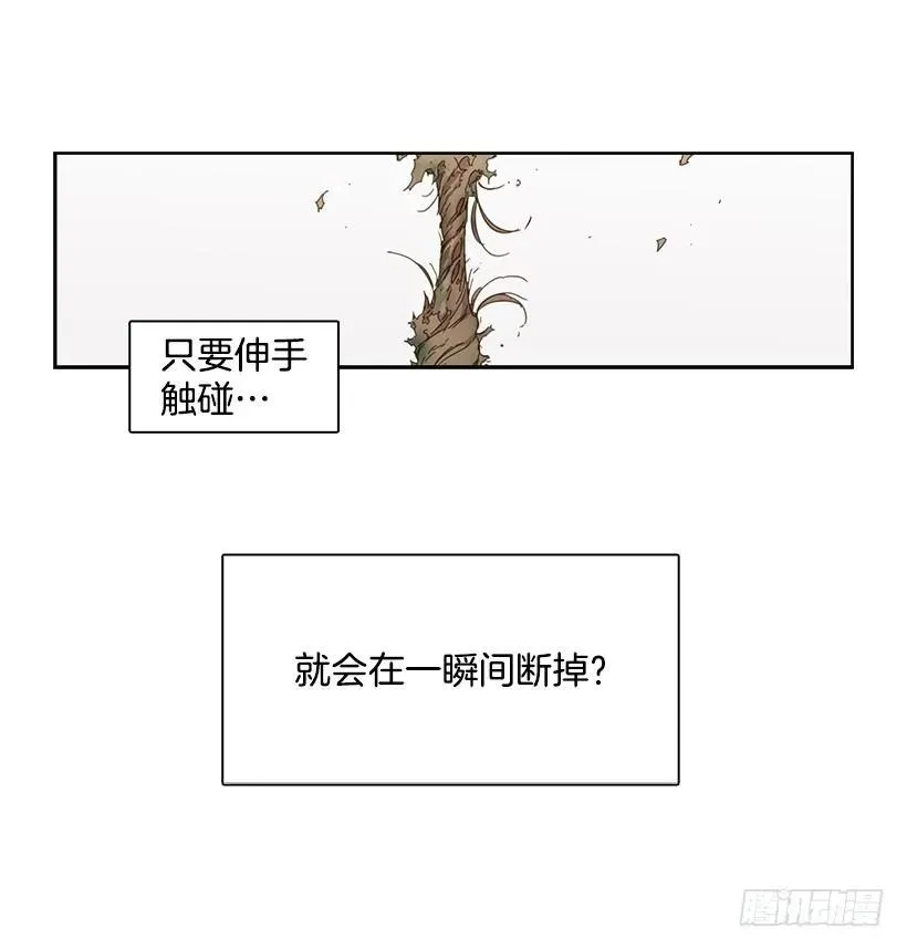 他没有错过 第39页