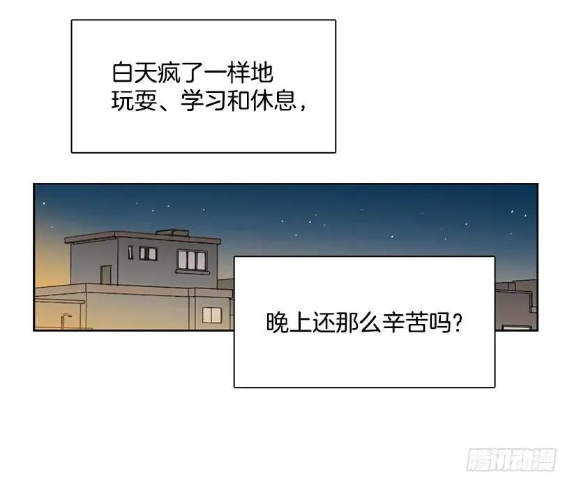 突然打来的电话 第24页