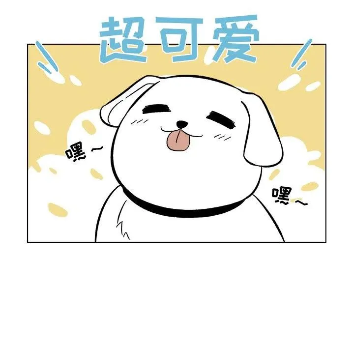 21 第44页