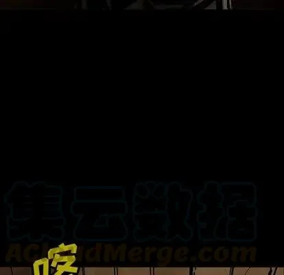 46 第17页