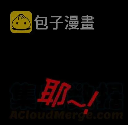 46 第113页