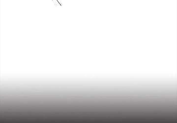 41 第4页